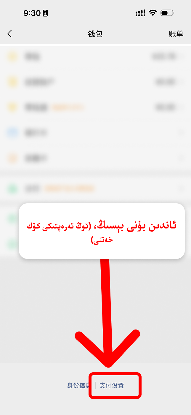 支付设置 نى بېسىش