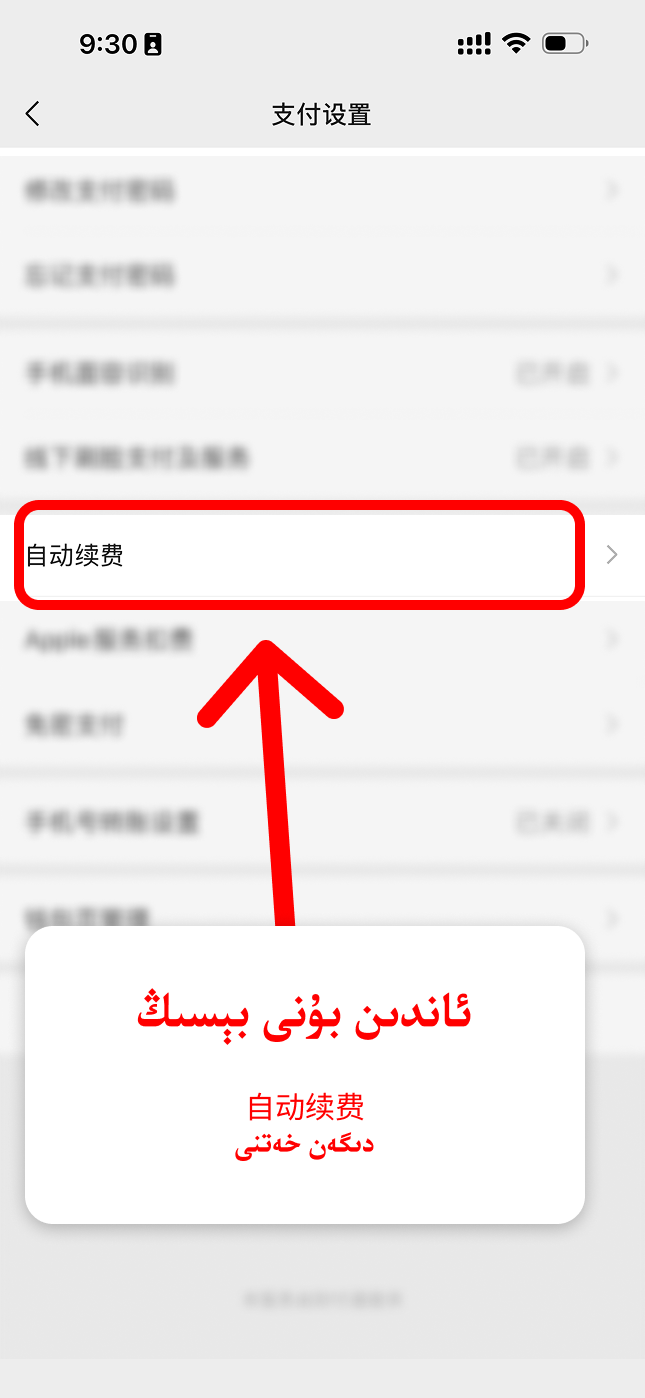自动续费 نى بېسىش
