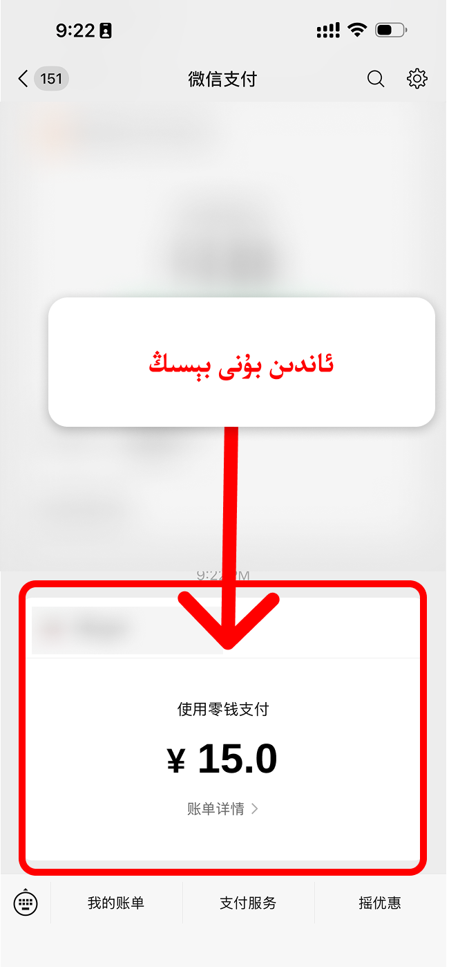 پۇل تۆلەش تەپسىلاتىنى بېسىش